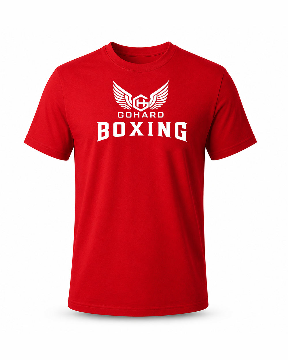 GoHard Boxing Training Day